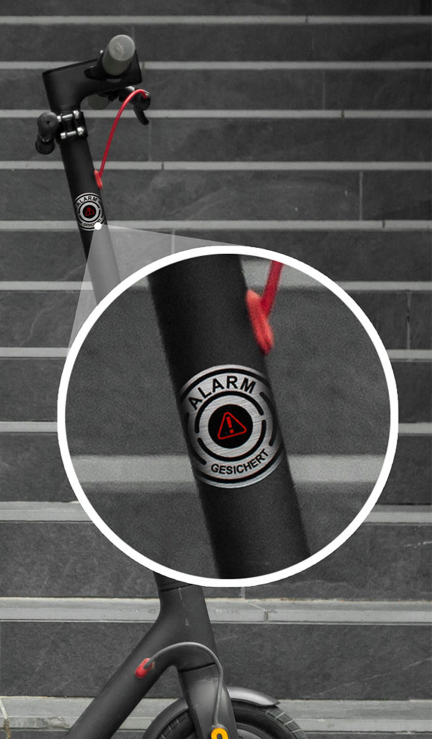 Alarmaufkleber Diebstahlschutz Alarmaufkleber Diebstahlschutz
